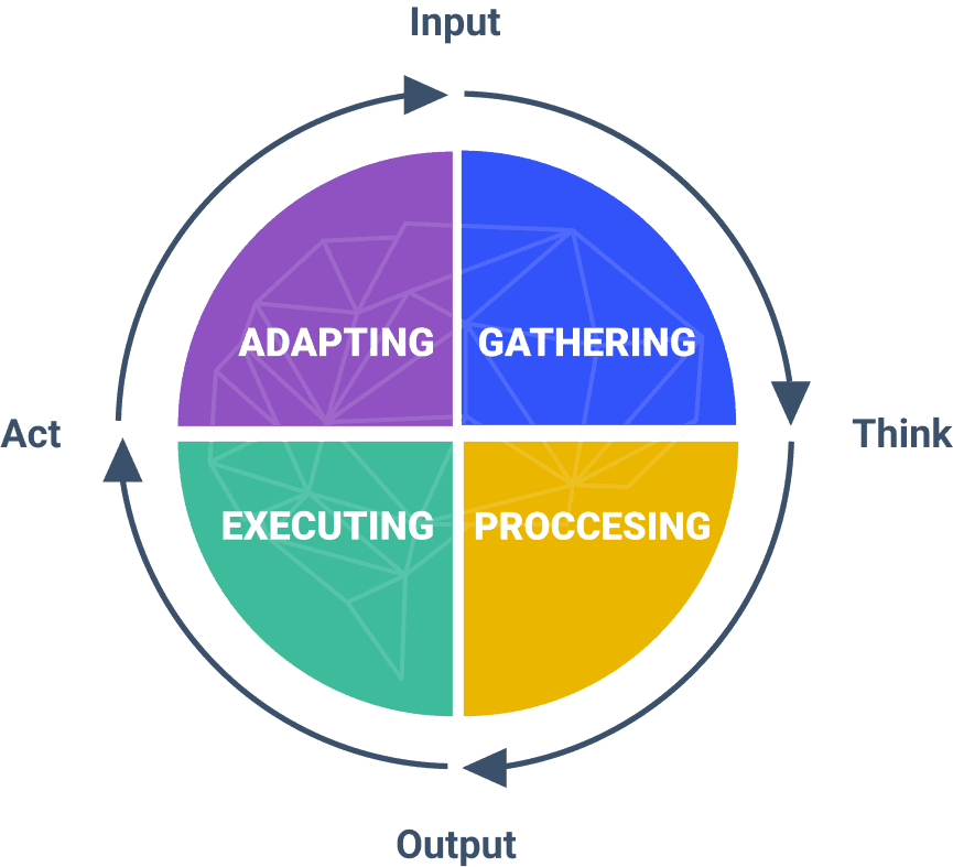 Circular cognitive process diagram illustrating the four phases of neural executive functions: Gathering, Processing, Executing, and Adapting.