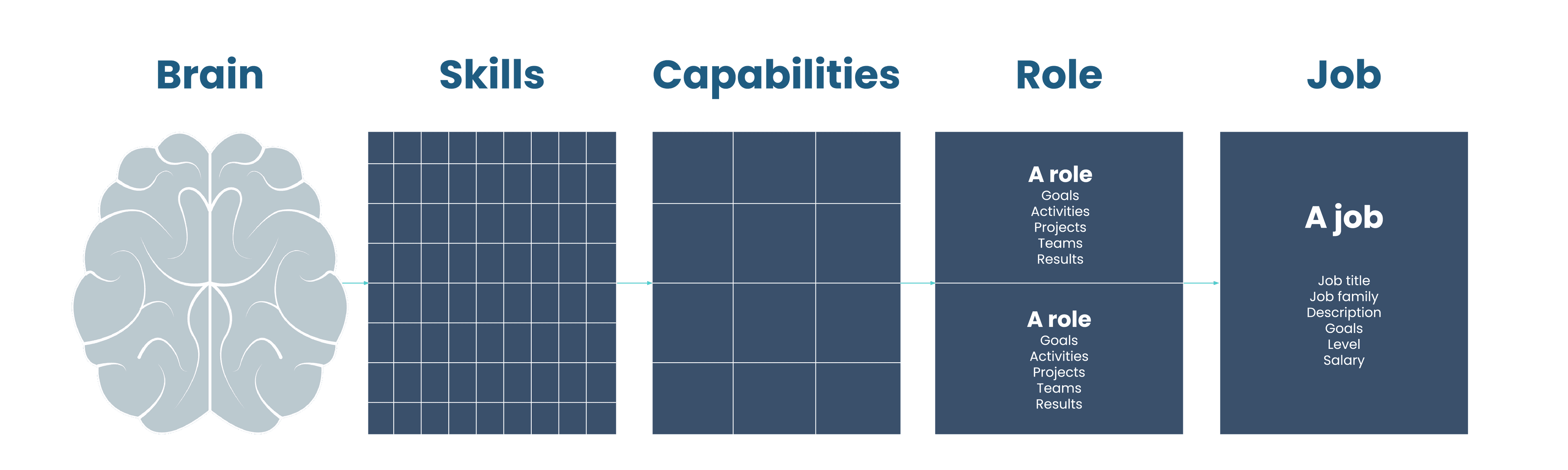 A horizontal flow diagram titled 'Cognitive Mapping' showing the progression from 'Brain' to 'Job'. The process moves from a brain icon to a dense 'Skills' grid, a broader 'Capabilities' grid, then to 'Role' (detailing goals and activities), and finally to 'Job' (listing title, description, and salary). Thin arrows connect each stage, illustrating how neurological traits translate into professional success.
