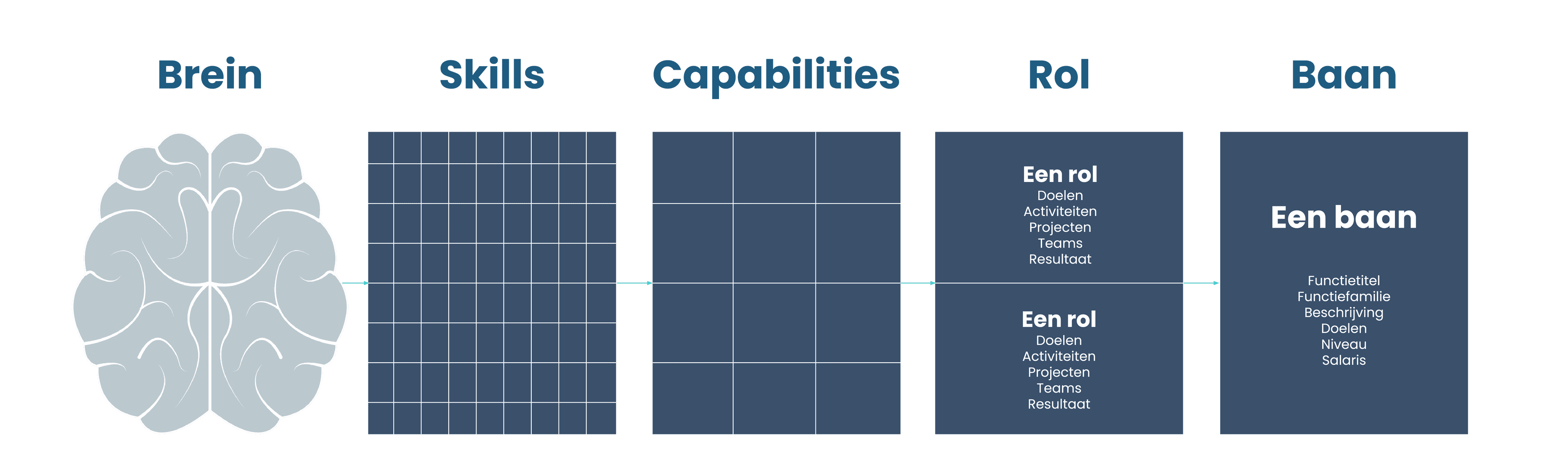 Een horizontaal stroomschema dat de route toont van het brein naar een baan. Het proces brengt de natuurlijke aanleg van het brein in kaart via vaardigheden (Skills) en capaciteiten (Capabilities), om vervolgens de vertaalslag te maken naar een specifieke rol en de uiteindelijke eisen van een baan.